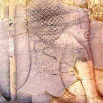 Click para ampliar. Pulsa en el nombre para ver la ficha. Oanes 5